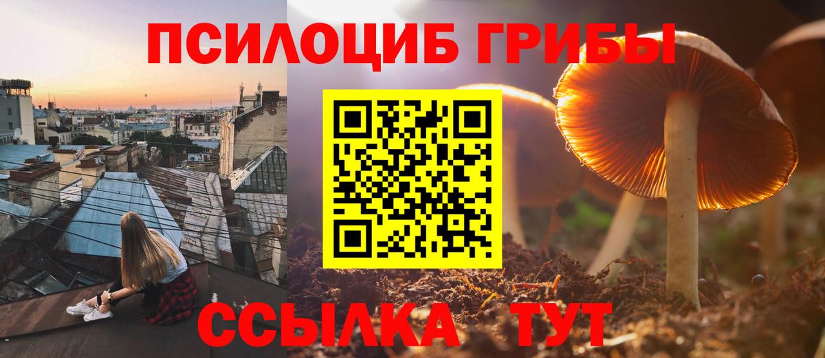 Петрозаводск  Псилоцибиновые грибы MAGIC MUSHROOMS  Псилоцибиновые грибы MAGIC MUSHROOMS  где можно купить наркотик  Вход с VPN 